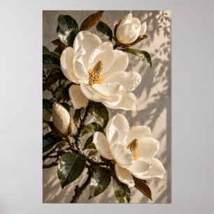Affiche Fleurs de magnolia blanches dans la lumière nature