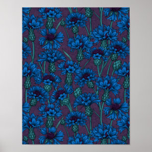 Affiche Fleurs de maïs bleues, fleurs sauvages