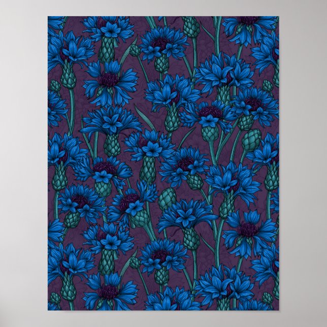 Affiche Fleurs de maïs bleues, fleurs sauvages (Devant)