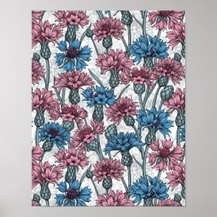 Affiche Fleurs de maïs roses et bleues, fleurs sauvages su