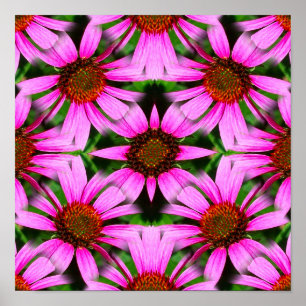 Affiche Fleurs de marguerite rose miroir Abstrait