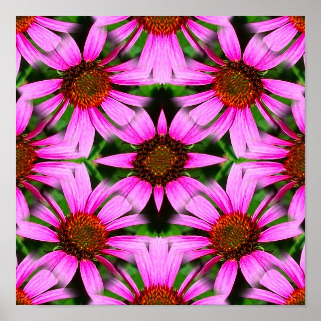 Affiche Fleurs de marguerite rose miroir Abstrait (Devant)