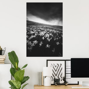 Affiche Fleurs de narcisse sur la montagne Golica, Slovéni