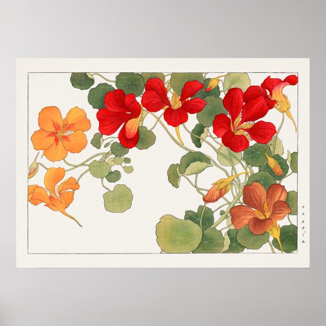 Affiche Fleurs de Nasturtium rouge et orange par Tanigami  (Devant)