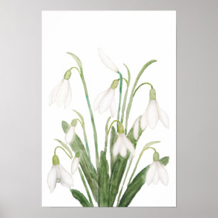Affiche fleurs de neige blanche peinture d'aquarelle botan