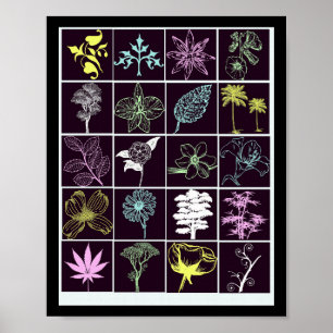 Affiche Fleurs de néon et silhouette Plante