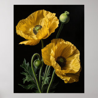 Affiche Fleurs de pavot en Californie Jaune Art Imprimer P