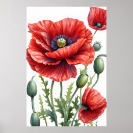 Affiche Fleurs de pavot romantiques Art numérique en fleur