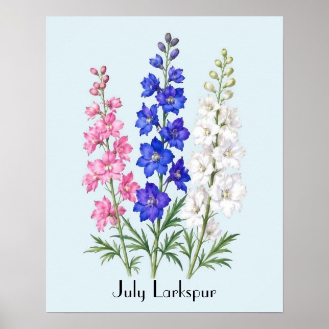 Affiche Fleurs de Pied-d'Alouette de Juillet (Devant)