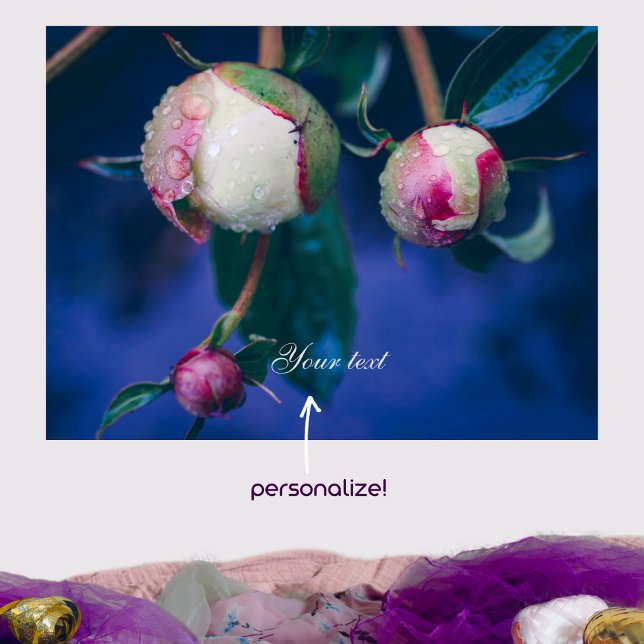 Affiche Fleurs de pivoine après pluie (Créateur téléchargé)