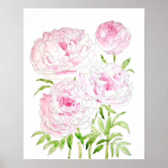 Affiche fleurs de pivoine rose aquarelle et encre (Devant)