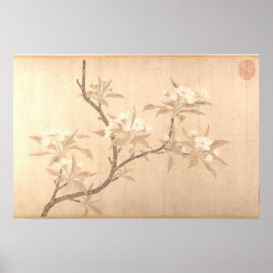 Affiche Fleurs de poirier Antique Oriental ca.1280