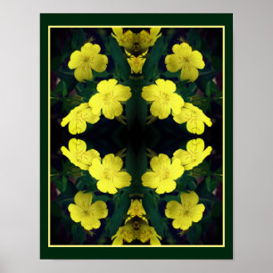 Affiche Fleurs de Primrose Jaune Abstraites