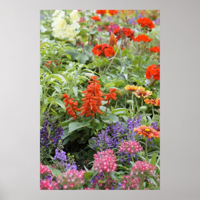 Affiche Fleurs de printemps (Devant)