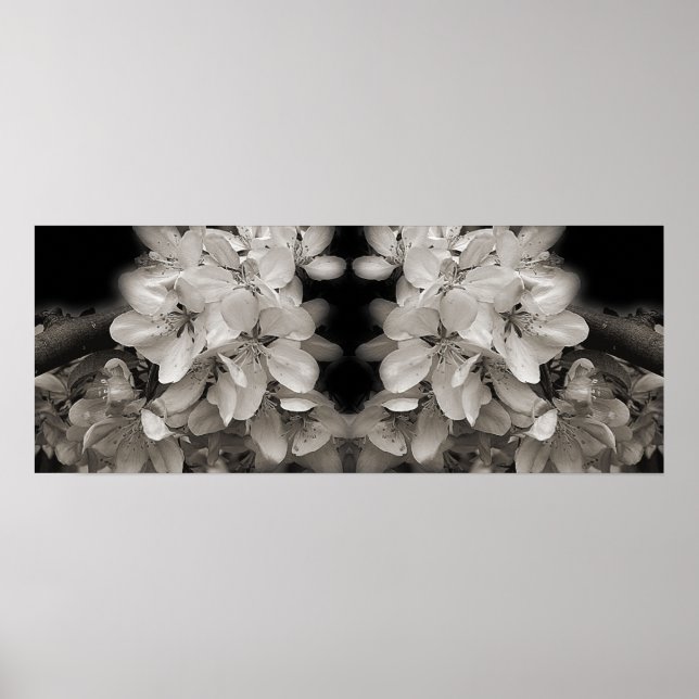 Affiche Fleurs de printemps noir et blanc miroir abstrait (Devant)