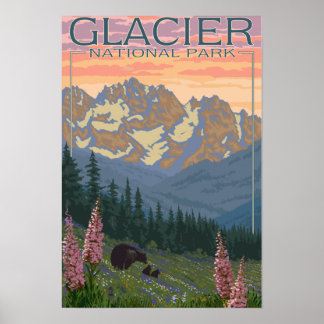 Affiche Fleurs de printemps - Parc national des Glaciers, 