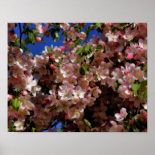 Affiche Fleurs de printemps rose effet Sky Orton bleu