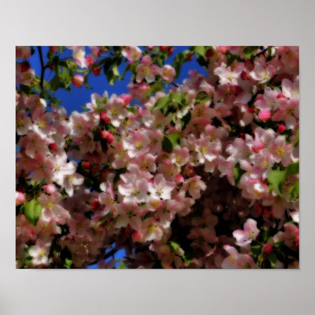 Affiche Fleurs de printemps rose effet Sky Orton bleu (Devant)