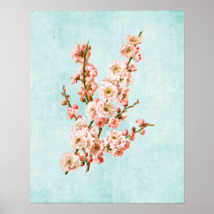 Affiche Fleurs de prune sur Denim vieilli