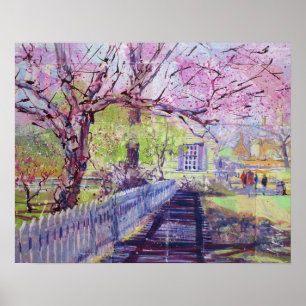 Affiche Fleurs de redbud roses à Williamsburg Virginie