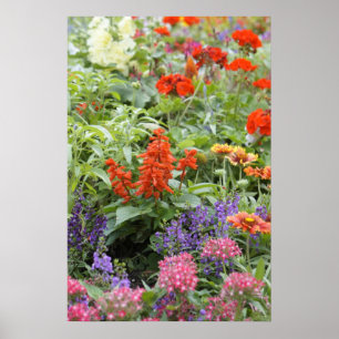 Affiche Fleurs de ressort