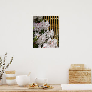 Affiche Fleurs de Rhododendron Blanc et Fleurs de Clôture