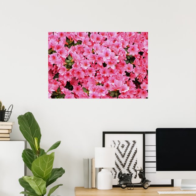 Affiche Fleurs de rhododendron rose (Bureau à domicile)