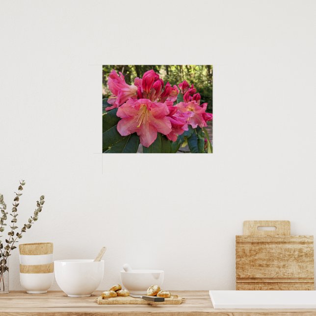Affiche Fleurs de Rhododendron Rose (Cuisine)