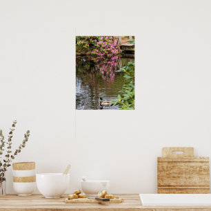 Affiche Fleurs de Rhododendron rose reflet d'eau