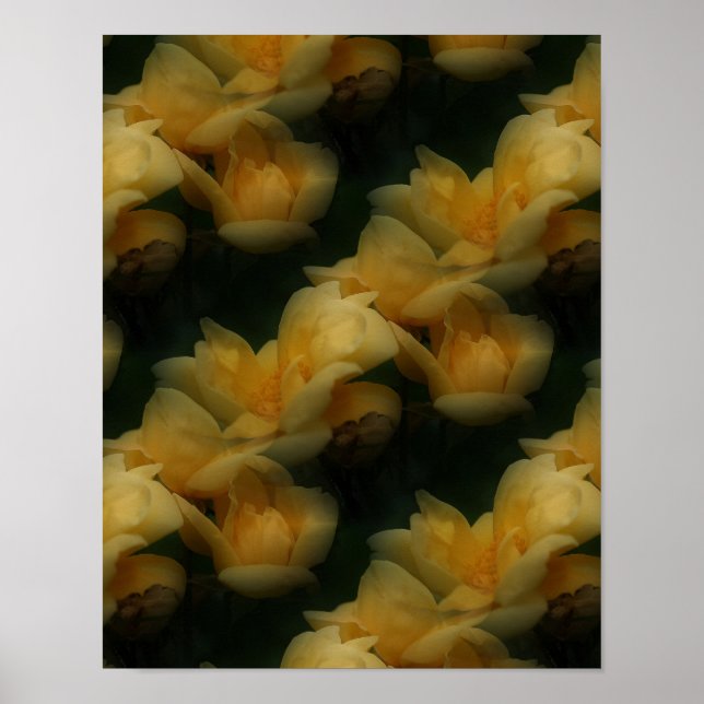 Affiche Fleurs de rose jaune Motif d'art naturel (Devant)