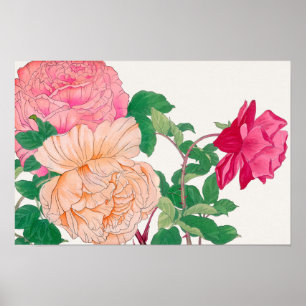 Affiche Fleurs de roses roses et orange pâle