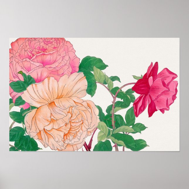 Affiche Fleurs de roses roses et orange pâle  (Devant)