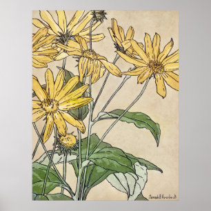 Affiche Fleurs de soleil