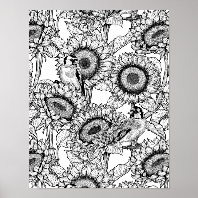 Affiche Fleurs de soleil et ailerons en noir et blanc (Devant)