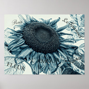 Affiche Fleurs de soleil géantes Art Vintage Turquoise Eph