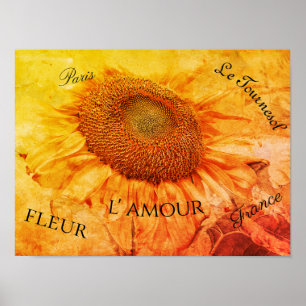 Affiche Fleurs de soleil géantes Grunge jaune Script Vinta