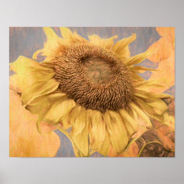 Affiche Fleurs de soleil géantes Pays Gray Jaune Découpage (Devant)