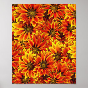 Affiche Fleurs de soleil orange