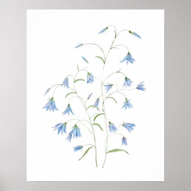 Affiche fleurs de sonnette bleue 2021 aquarelle (Devant)