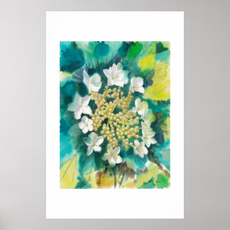 Affiche Fleurs de Viorne