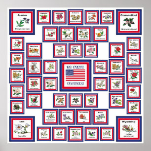 AFFICHE FLEURS D'ÉTAT DES ETATS-UNIS 50 WHITE/559