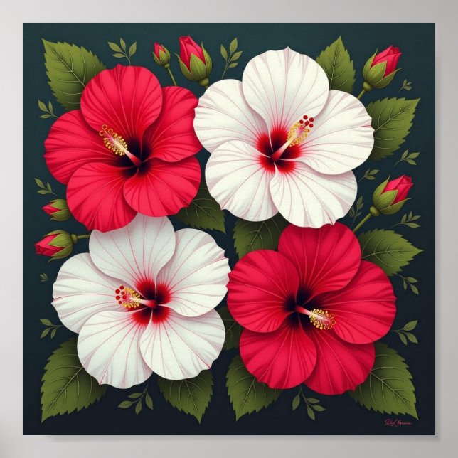 Affiche Fleurs d'Hibiscus (Devant)