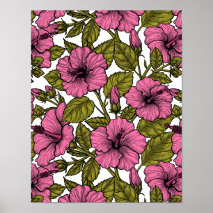 Affiche Fleurs d'hibiscus roses