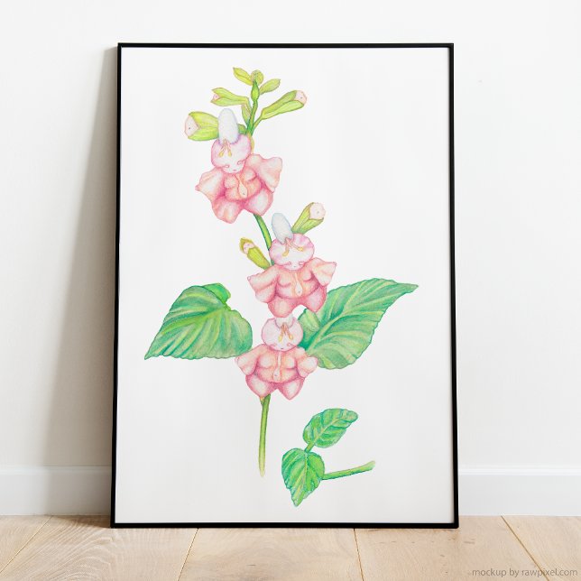 Affiche Fleurs d'Imaginaire rose blanc Buds Aquarelle (magical watercolor illustration featuring three darling pink flower beings on a vibrant green stem)