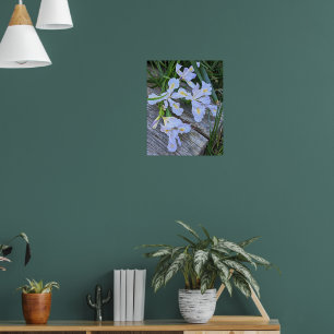 Affiche Fleurs d'Iris Violet Clair