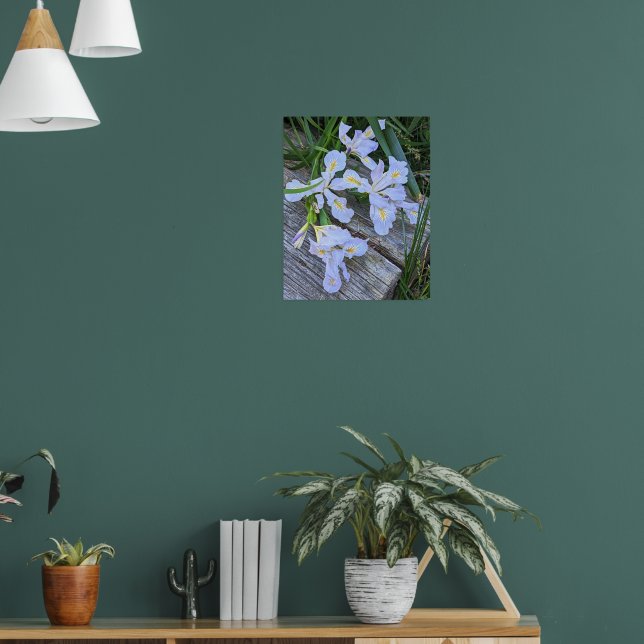 Affiche Fleurs d'Iris Violet Clair (Salon 1)