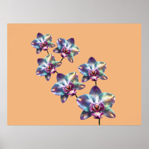 Affiche Fleurs d'orchidées holographiques iridescentes