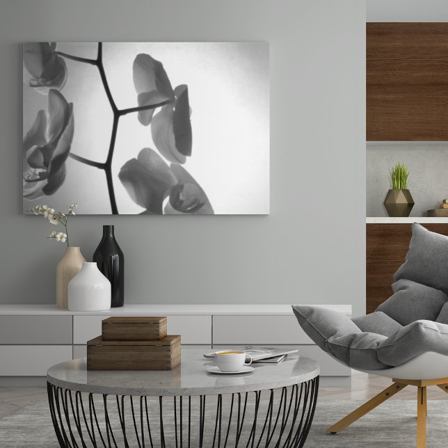 Affiche Fleurs d'orchidées noires et blanches sur la tige (Créateur téléchargé)