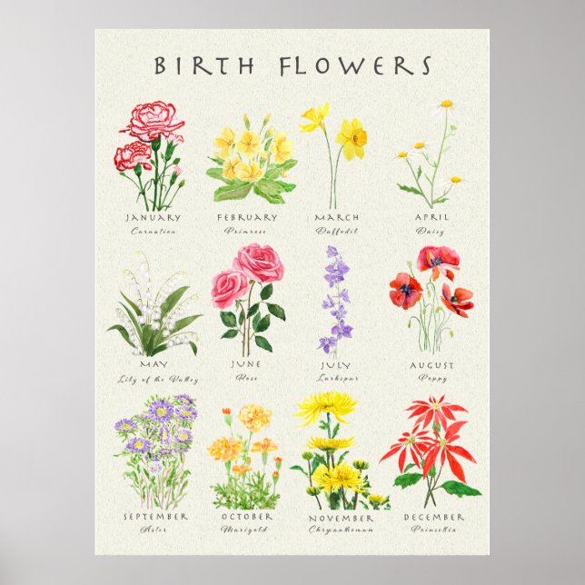 Affiche Fleurs du mois de naissance peintes à la main aqua (Devant)