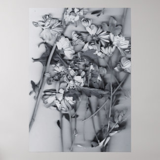 Affiche Fleurs en noir et blanc